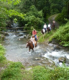 Horseback riding in Boquete, Panama – Best Places In The World To Retire – International Living